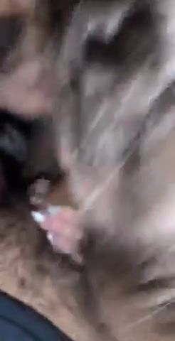 This Hotwife was eager for pt2 ! I couldn’t even get my shirt off before it was in her mouth????